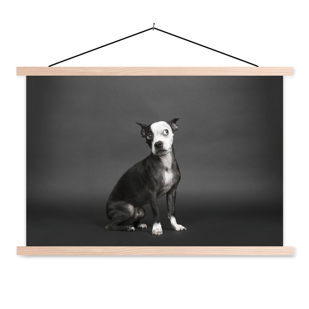 MuchoWow Textilposter Hund - Spot - Porträt 120x80 cm mit holzfarbenen Rahmen