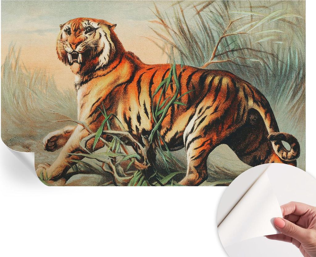 Selbstklebende Wandtapete - Dekorative Tapete für Wohnzimmer - Klebefolie für Wandbilder - Tapetenfolie für Wanddekoration - 416x254 - Tiger Natur