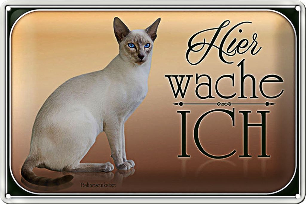 Blechschild Katze 30x20cm Balinesenkatze hier wache ich