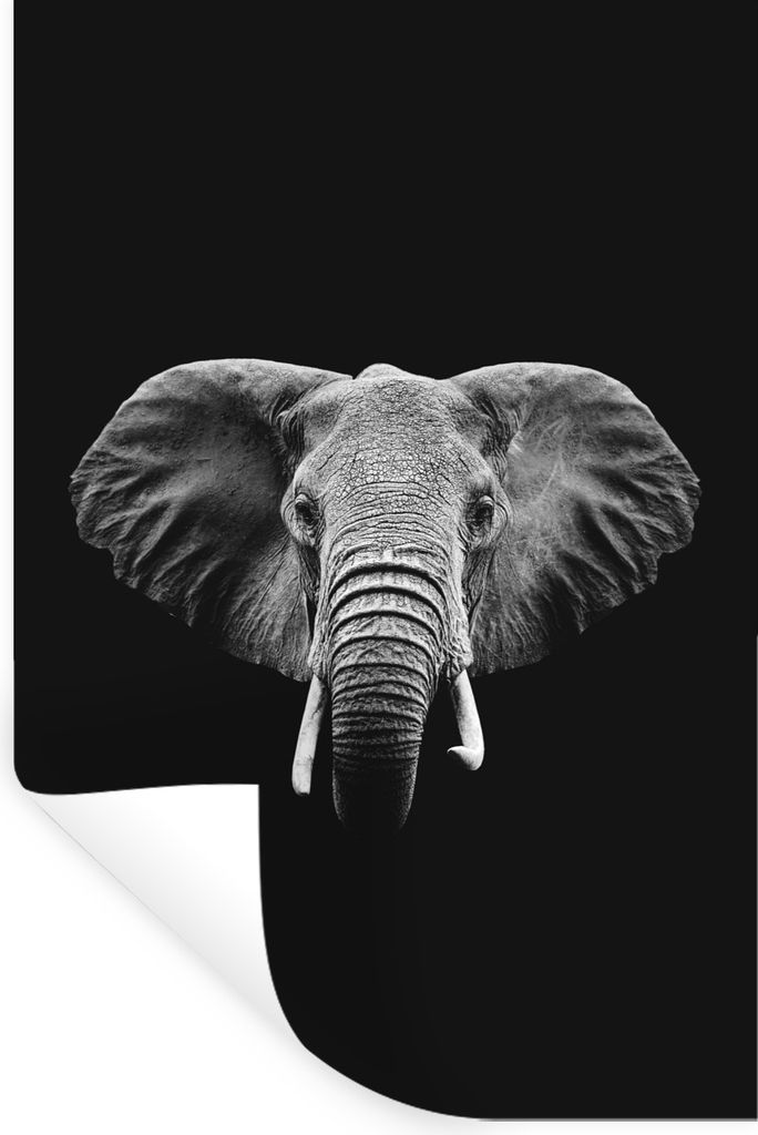 MuchoWow Wandtattoo Wandsticker Wandaufkleber Elefant auf schwarzem Hintergrund - schwarz und weiß 40x60 cm Selbstklebend und Repositionierbar -...