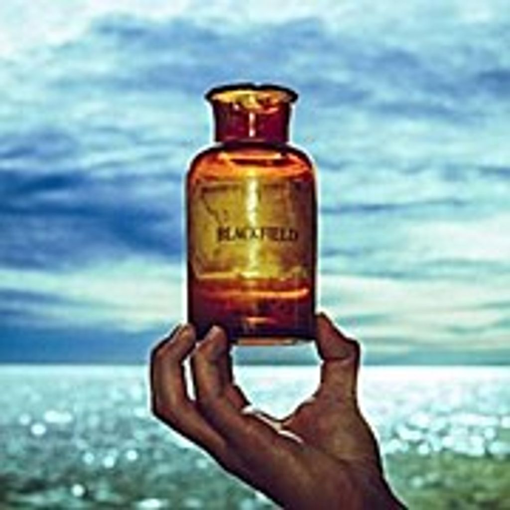 Blackfield-Blackfield V Produktbild 