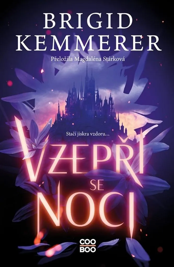 Livre Vzepři se noci : Roman de Fantasy Épique par Brigid Kemmerer Relié