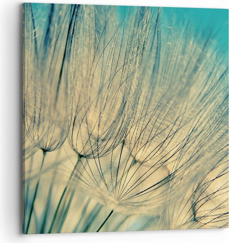 Bild auf Leinwand - Leinwandbild - Einteilig - Löwenzahn Makro Löwenzahn - 70x70cm - Wand Bild - Wanddeko - Wandbilder - Leinwanddruck - Bilder -...
