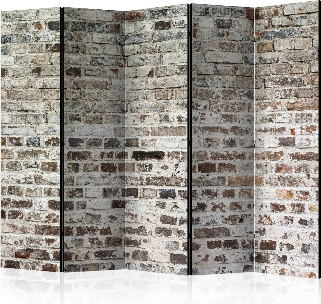 5-teiliger Einseitiger Vlies Paravent - Walls of Time II 225x172 cm Muster f-A-0457-z-c