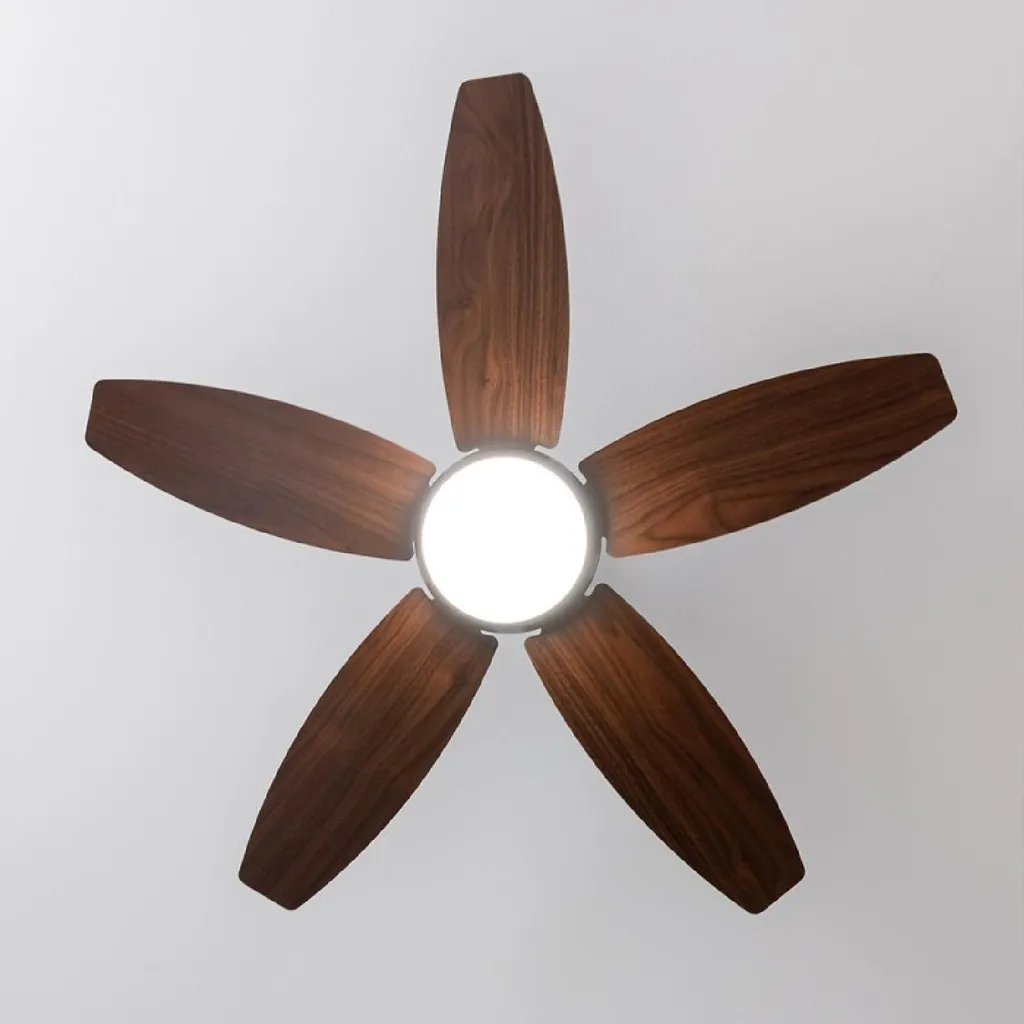 Ventilateur de plafond pour chambre avec télécommande et éclairage réglable - 4