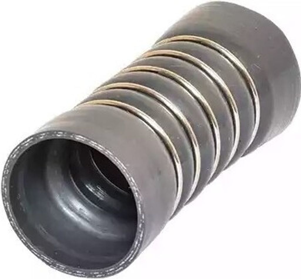 BUGIAD 88691 Turbo Ladeluftschlauch für FORD Fiesta Mk6 Produktbild 
