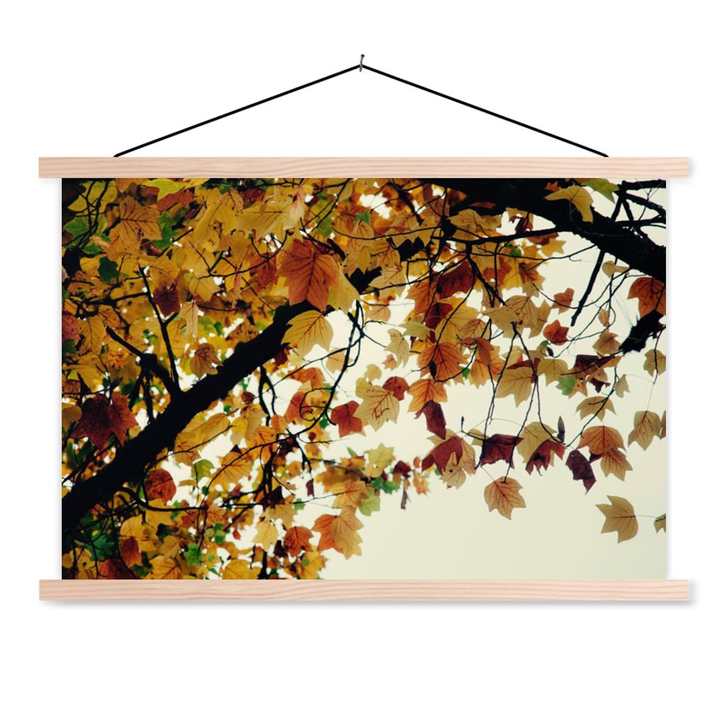 MuchoWow Textilposter Bäume - Herbstblätter - Natur 120x80 cm mit holzfarbenen Rahmen - Aufhängeset