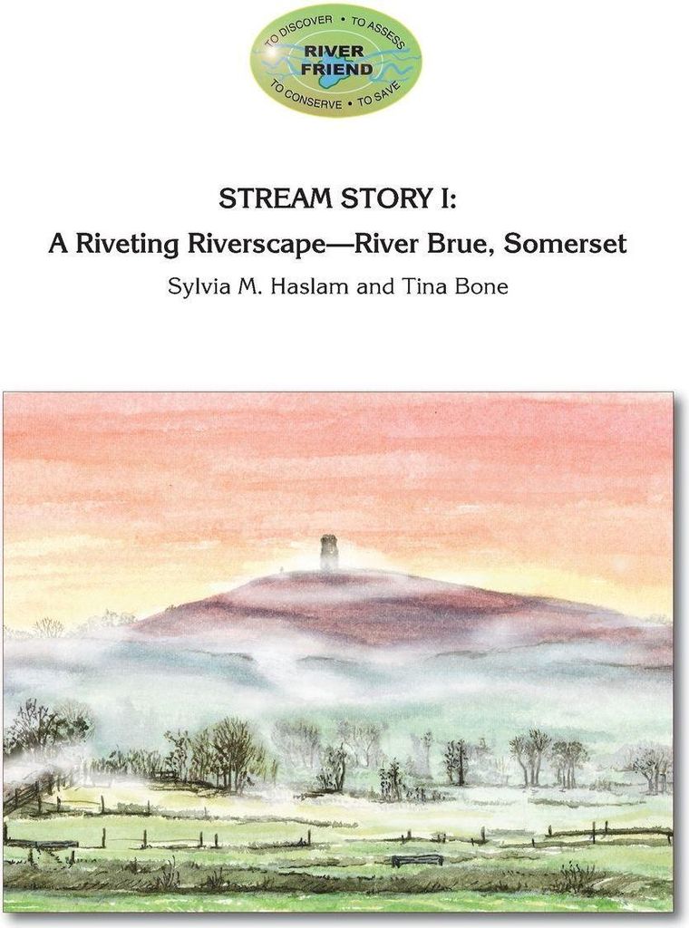 Stream Story I