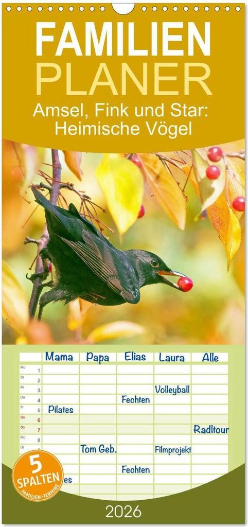 Familienplaner 2026 - Amsel, Fink und Star: Heimische Vögel mit 5 Spalten (Wandkalender, 21 x 45 cm) CALVENDO
