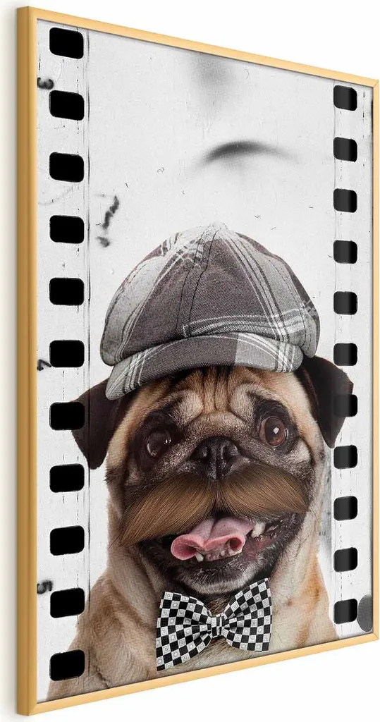 Poster Mops Carlino con Cappello 60x90 cm - Cornice Oro Elegante