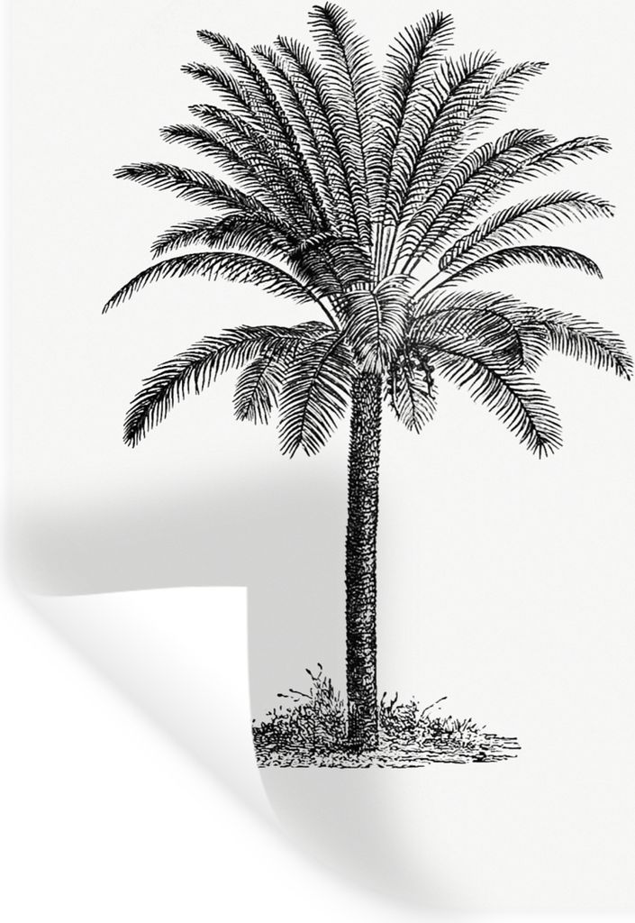 MuchoWow - Sticker - Dekorfolie