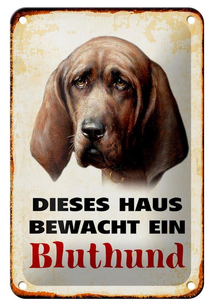 Blechschild Hund 12x18cm dieses Haus bewacht ein Bluthund