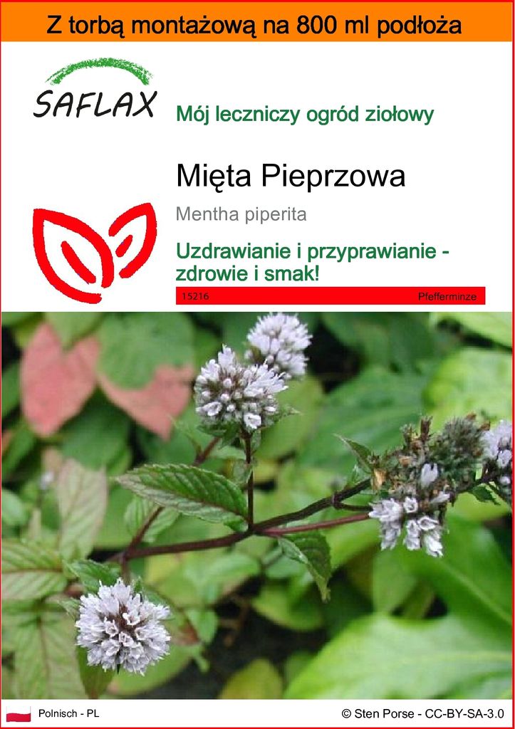 SAFLAX - Garden in the bag - Mięta Pieprzowa - 300 Nasiona Zdjęcie produktu 