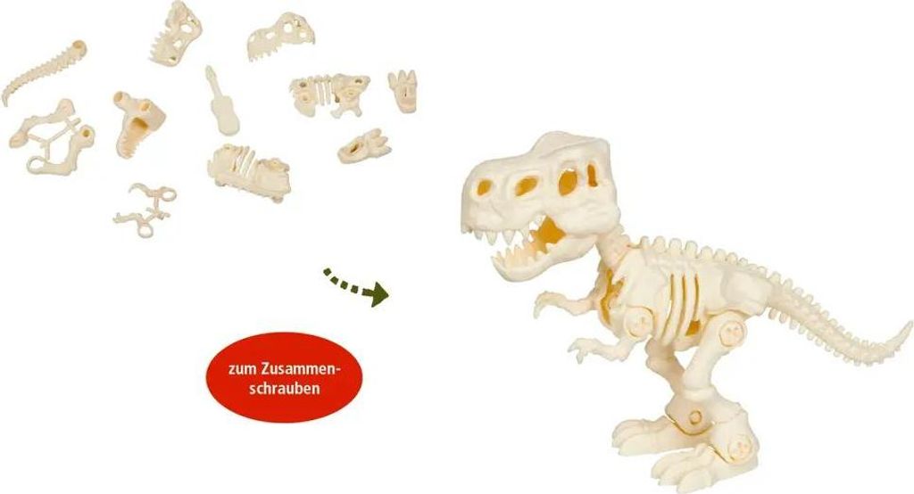 T-Rexworld T-Rex Skelett (zum Zusammenschrauben) - T-Rex World