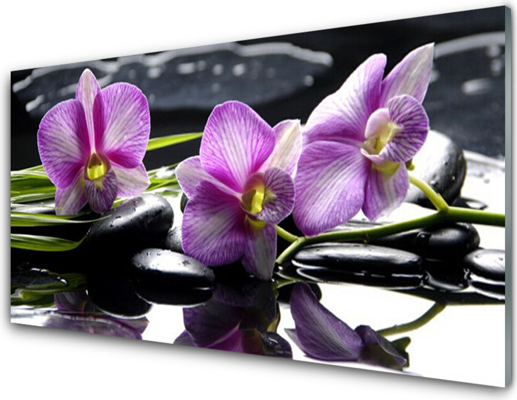 Küchenrückwand aus Glas 100x50cm Spritzschutz Blumen Steine Pflanzen