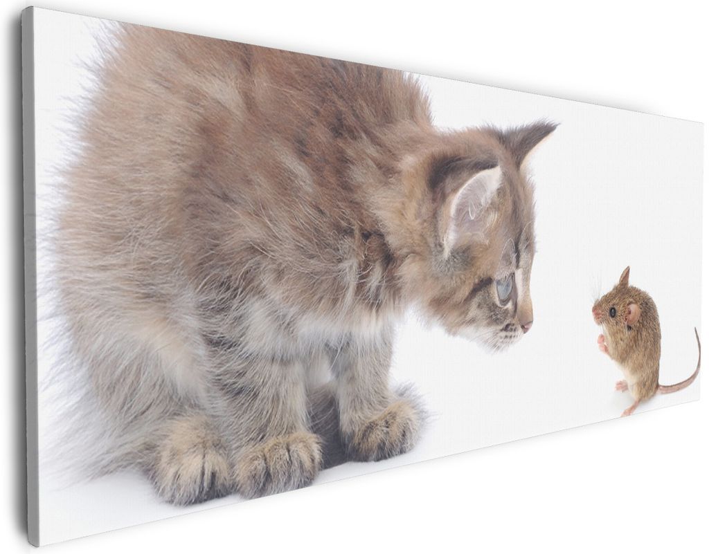 Wallario Premium Leinwandbild Katze und Maus beim Spielen - weißer Hintergrund in Größe 50 x 125 cm