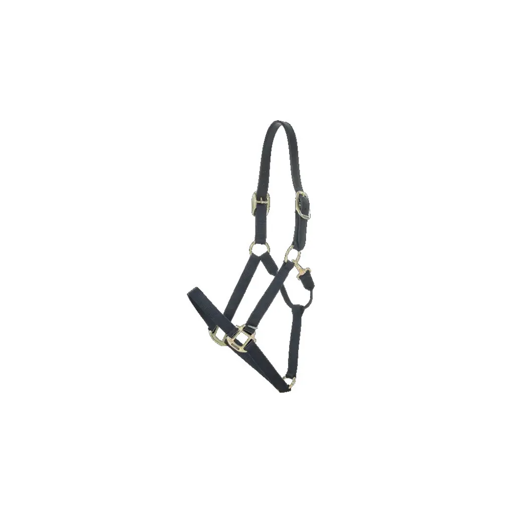 Analisi Tecnica: Cavezza Kentucky Horsewear Nylon Breakaway