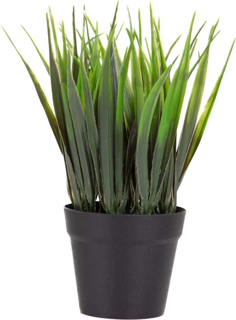 HOMLA KÜNSTLICHE SPENDENPFLANZE B2 ERBA Essentials B2 ERBA 19 cm