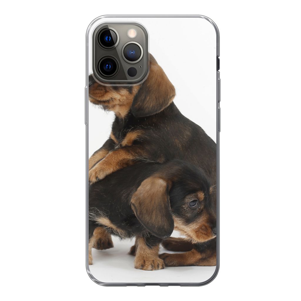 MuchoWow Handyhülle Schutzhülle Hülle für iPhone 12 Pro Studiofoto von zwei süßen Dackeln Silikon Softcase Handy Hülle - Abdeckung