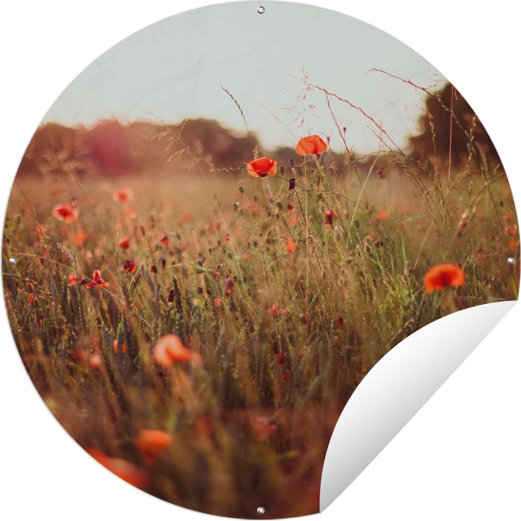 MuchoWow Gartenposter Outdoor-Poster Rund Sonnenuntergang - Blumen - Rot Ø 90 cm Gartendeko Rundes Poster draußen