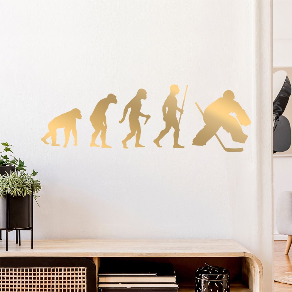 Eishockey Puck Evolution II Wandtattoo Wandaufkleber Wall Sticker - Dekoration, Küche, Wohnzimmer, Schlafzimmer, Badezimmer