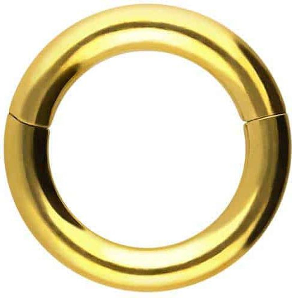 Ohrpiercing, Nasenpiercing, Septum Piercing Titan Segmentring Clicker Gold Innendurchmesser: 6mm + Stabstärke: 1,6mm