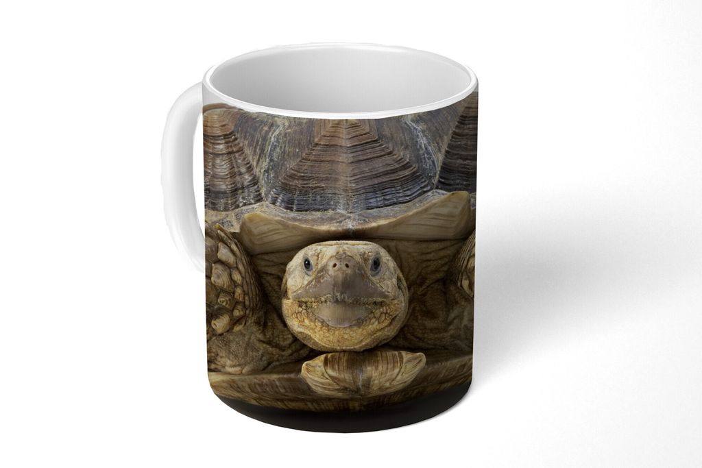KitchenYeah Tasse Kaffeetasse Kaffeebecher 350 ml Schildkröte - Tiere - Weiß Teetasse - Fototasse - Becher - Keramikbecher - Teebecher - Kaffee...
