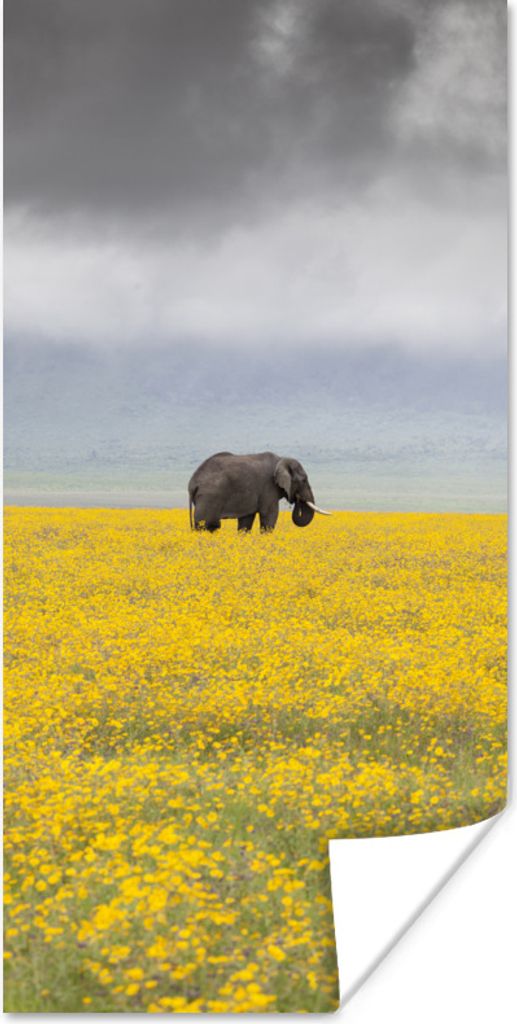 MuchoWow Poster Elefant in einem gelben Blumenfeld 60x120 cm - Wandschmuck