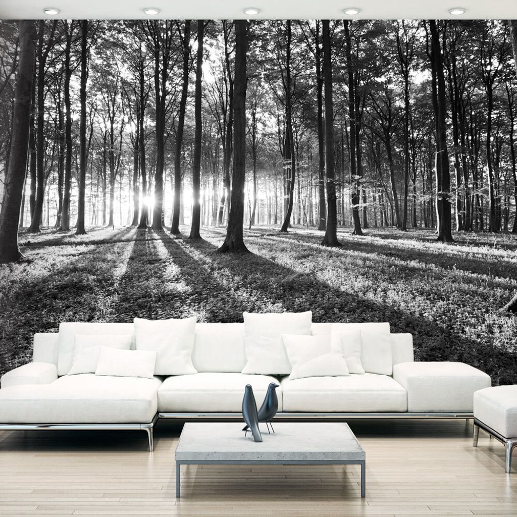 Basera Selbstklebende Fototapete Waldmotiv c-B-0127-a-c, mit UV-Schutz, 98x70 cm