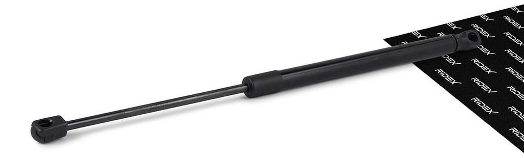 RIDEX 219G0707 Gasfeder Heckklappendämpfer für CITROËN C2 Produktbild 