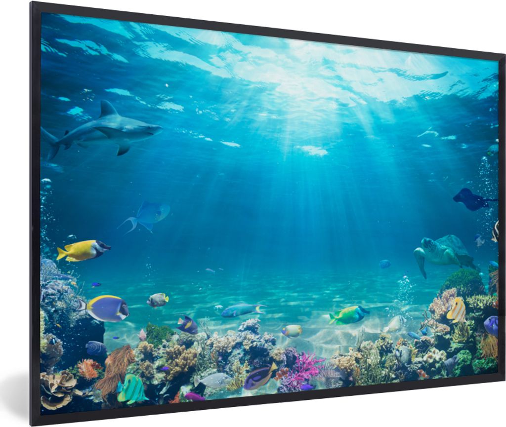 MuchoWow Gerahmtes Poster Unterwasserwelt - Meerestiere - Wasser - Korallen - Blau 90x60 cm - Poster mit Schwarzem Bilderrahmen Wandposter Rahmen...