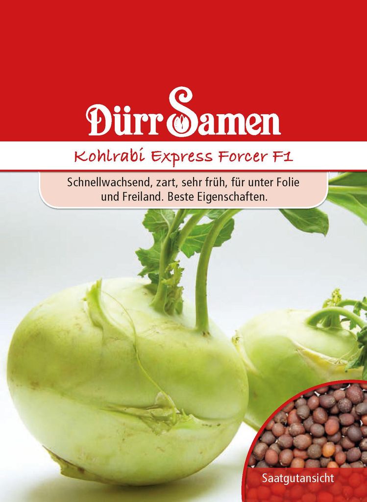 Dürr-Samen - Kohlrabi Express Forcer F1 - Saatgut - 0939 Produktbild 