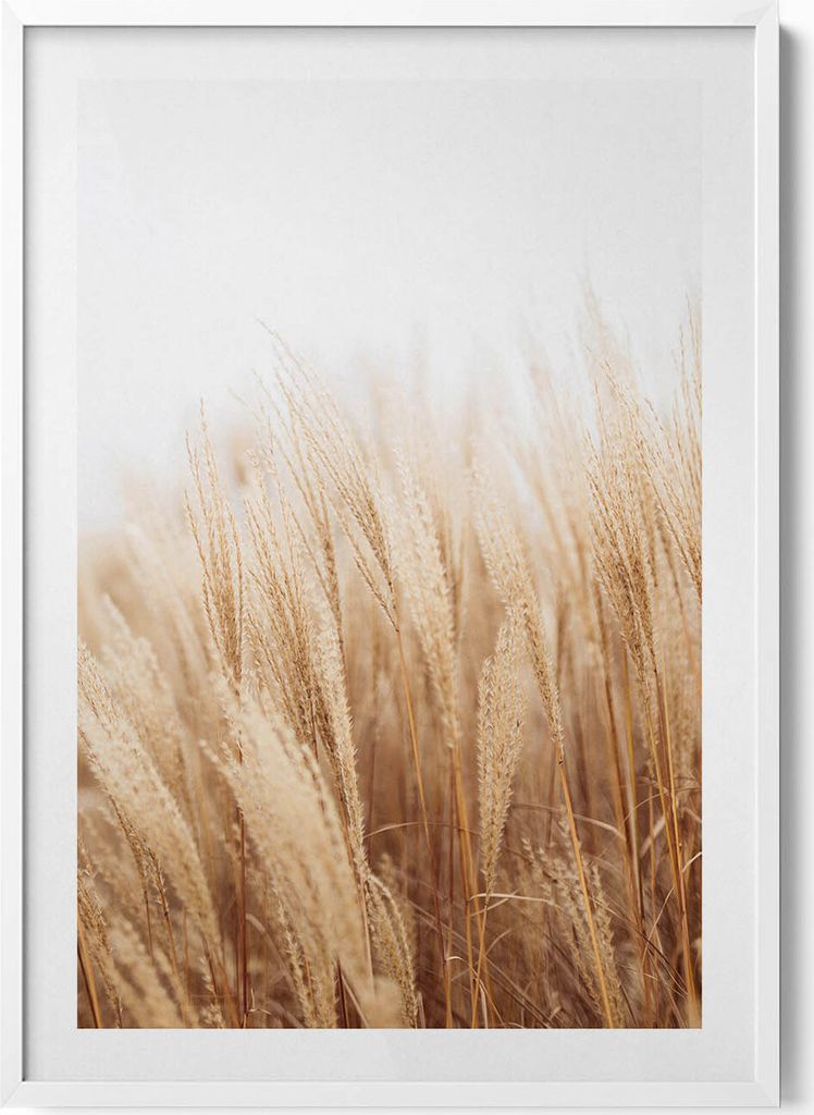 Landschaft mit zarten Boho-Gräsern– Wandbild mit Rahmen – Gerahmtes Bild – Wanddekoration – 70x100 cm – Weiß Rahmen