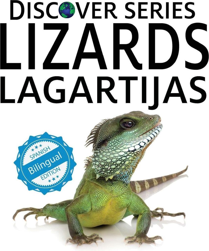 Lizards / Lagartijas