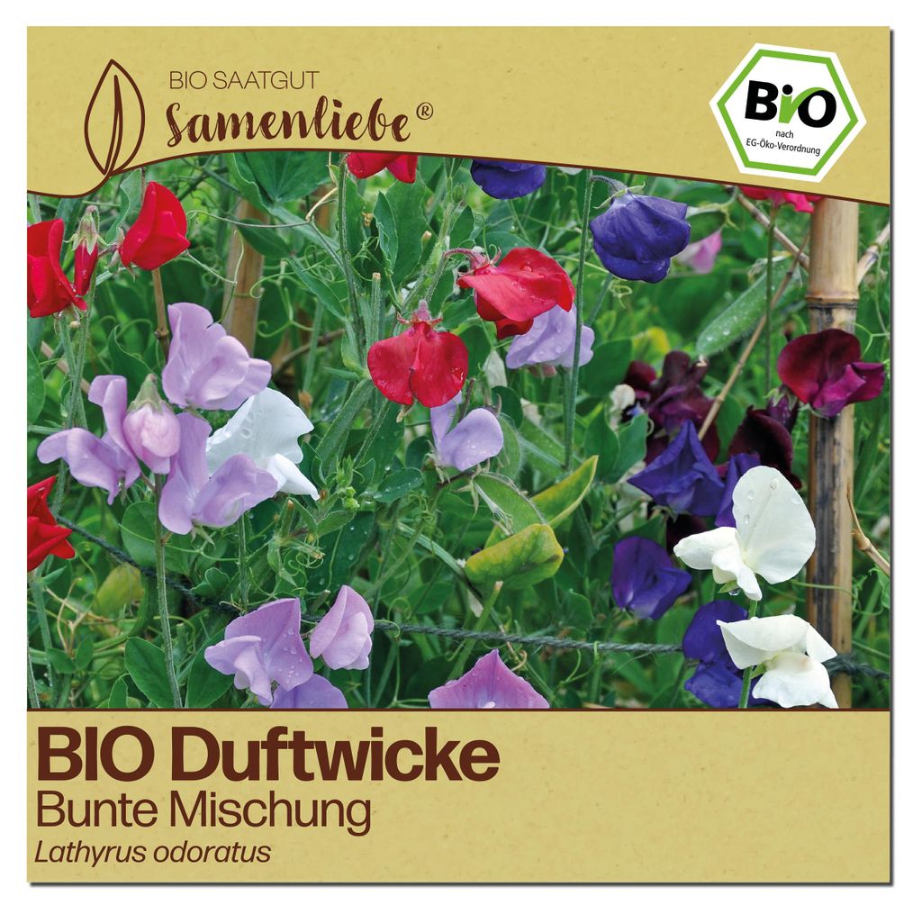 Samenliebe  Duftwicke Samen | Bunte Mischung - stark Produktbild 