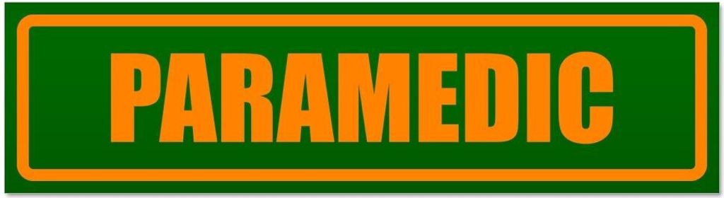 Kiwistar - Autoaufkleber - Orange - Grün - 20 x 5,3 cm - Paramedic - Hinweis Aufkleber Sticker für Auto, Kfz, Fahrrad, PKW, LKW