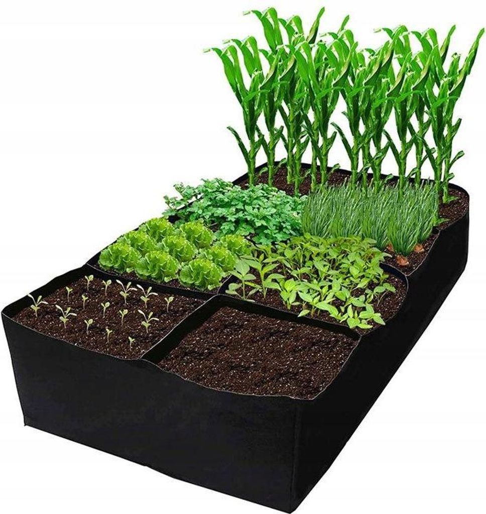 A raised garden bed with various plants growing in it.