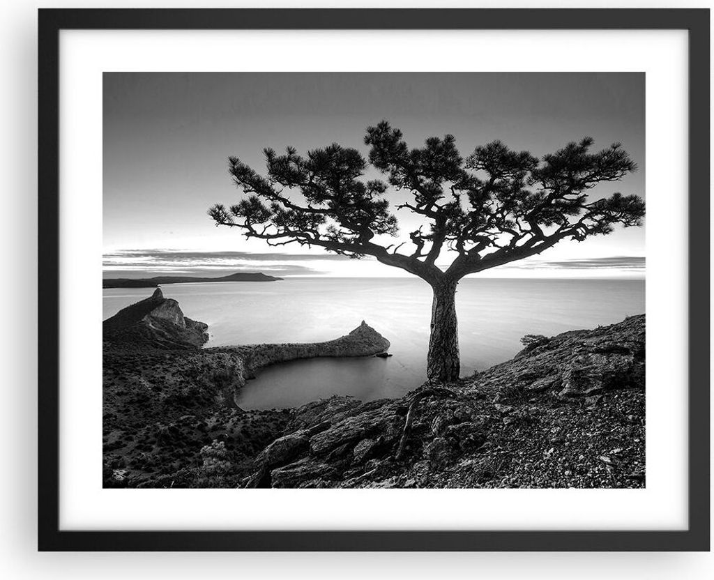 Gerahmtes Poster - Schwarzer Rahmen - Baum Schwarzweiß Ansicht - 50x40 cm - Wand Bild - Wanddeko - Wandbilder - Wandposter - Bilderrahmen - Bilder...