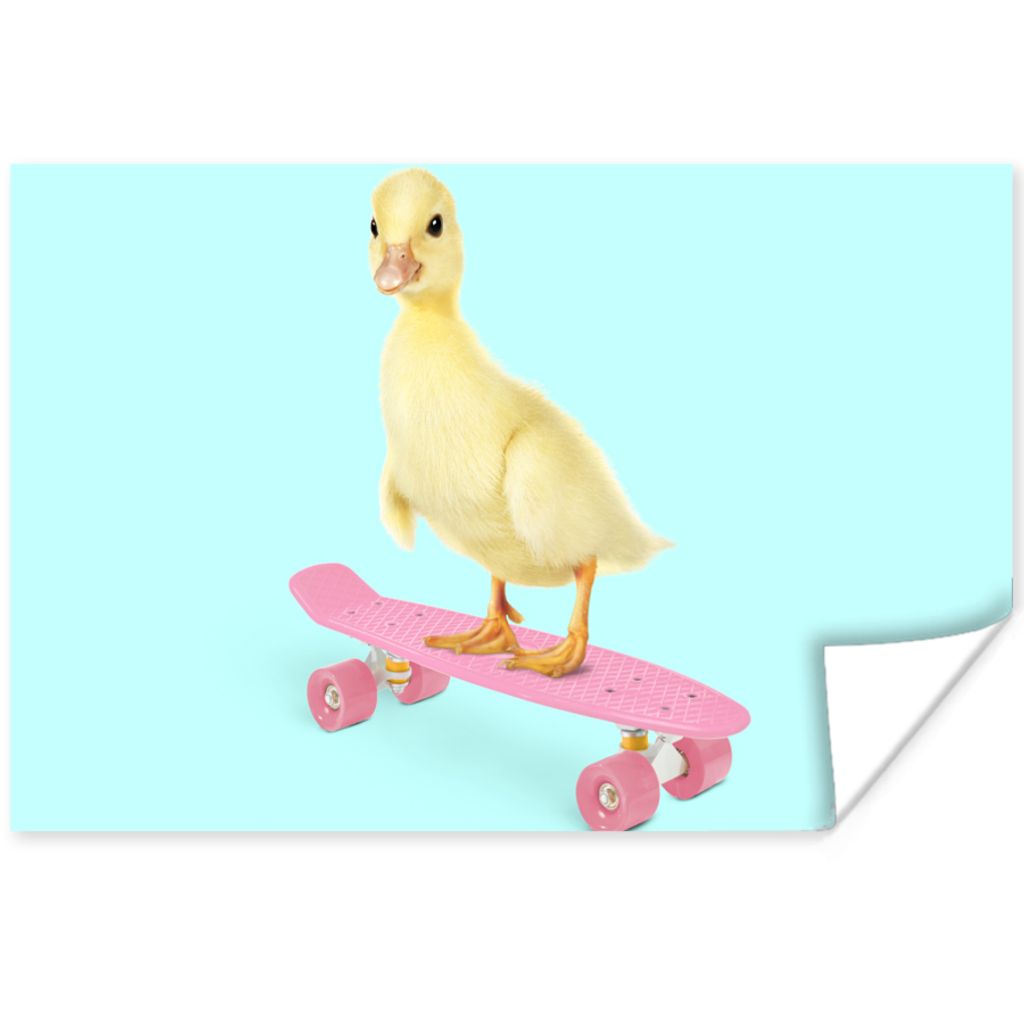 MuchoWow Poster Ente - Küken - Skateboard - Blau - Rosa 180x120 cm - Fotoplakat