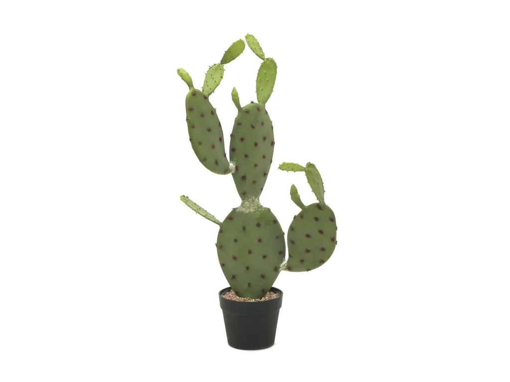 Déco sans épines : Cactus à feuilles artificiel 75cm Europalms réaliste