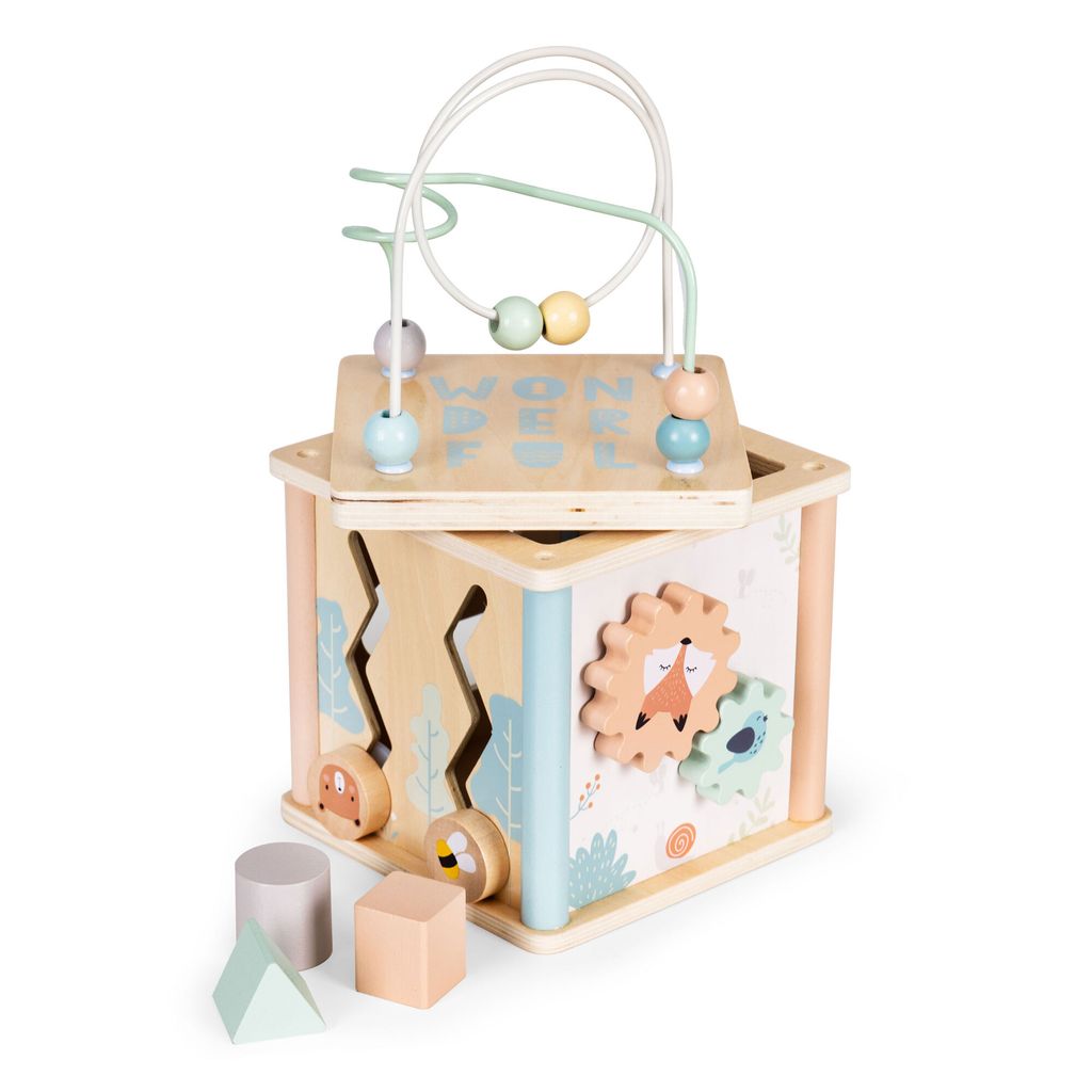 Hölzerne pädagogische Würfelsortierblöcke Ecotoys