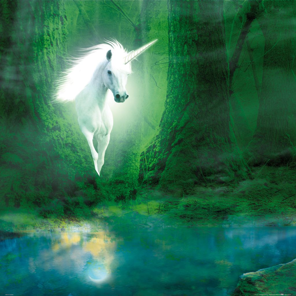 Einhörner Kunstdruck Bild - Das Einhorn Im Grünen Zauberwald (70 x 70 cm)