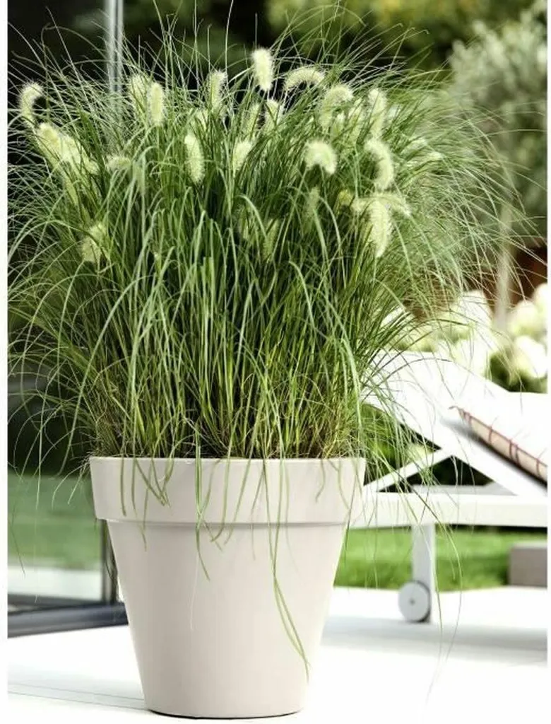 Pot Elho Blanc 39 x 36 cm : Grand Pot de Fleurs Rond pour Jardin et Terrasse