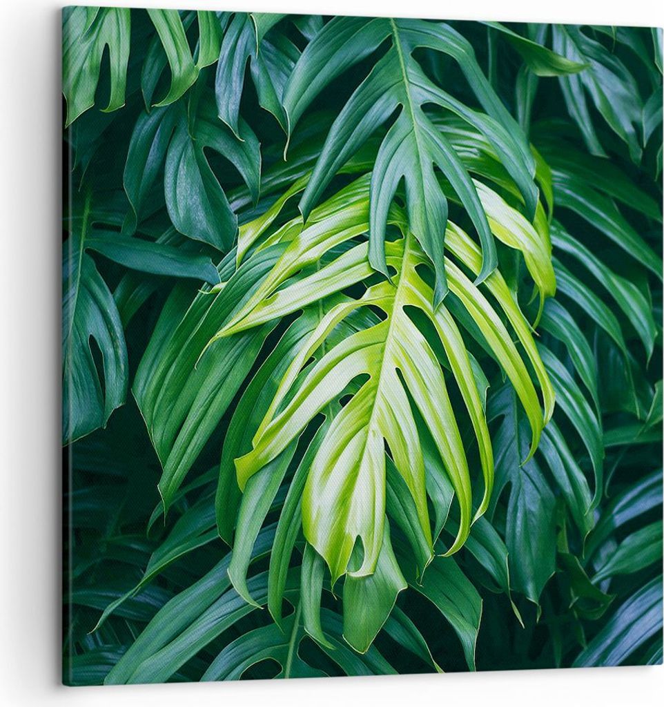 Bild auf Leinwand - Leinwandbild - Blume Natur - 50x50cm - Wand Bild - Wanddeko - Wandbilder - Leinwanddruck - Bilder - Kunstdruck - Wanddekoration...