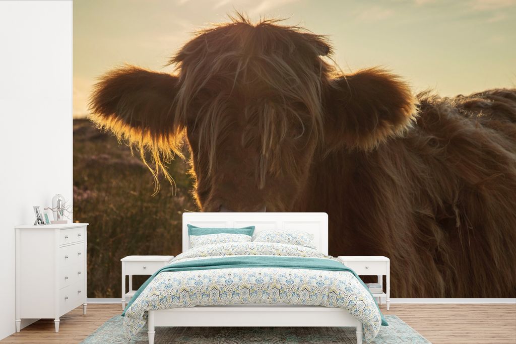 MuchoWow Fototapete für Wohnzimmer oder Schlafzimmer Wandtapete Vinyl Motivtapete Schottischer Highlander - Sonnenuntergang - Gras - 450x300 cm ...