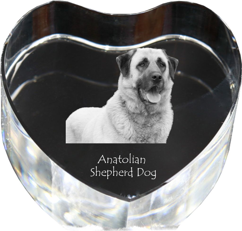 Anatolischer Hirtenhund - Hundebild im Kristall, Kristallherz, einzigartiger Bilderrahmen der Marke Art-Dog