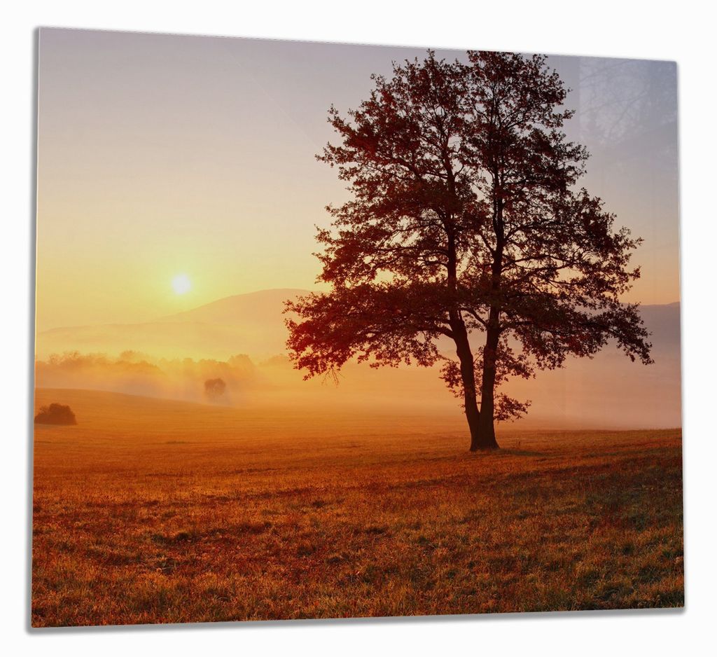 Wallario Herdabdeckplatte aus Glas, Größe 60 x 52 cm 1-teilig, Motiv Sonnenaufgang über der Wiese mit Nebel