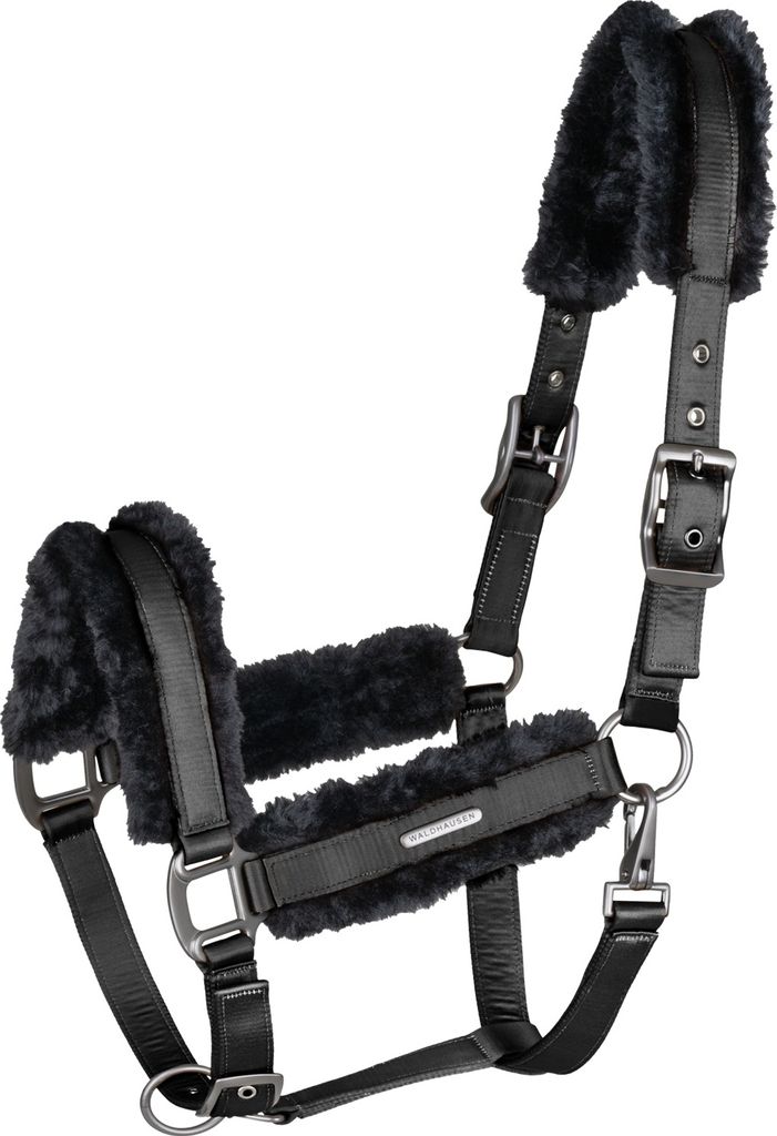 Waldhausen Paris Halfter Schwarz Cob Schwarz Cob