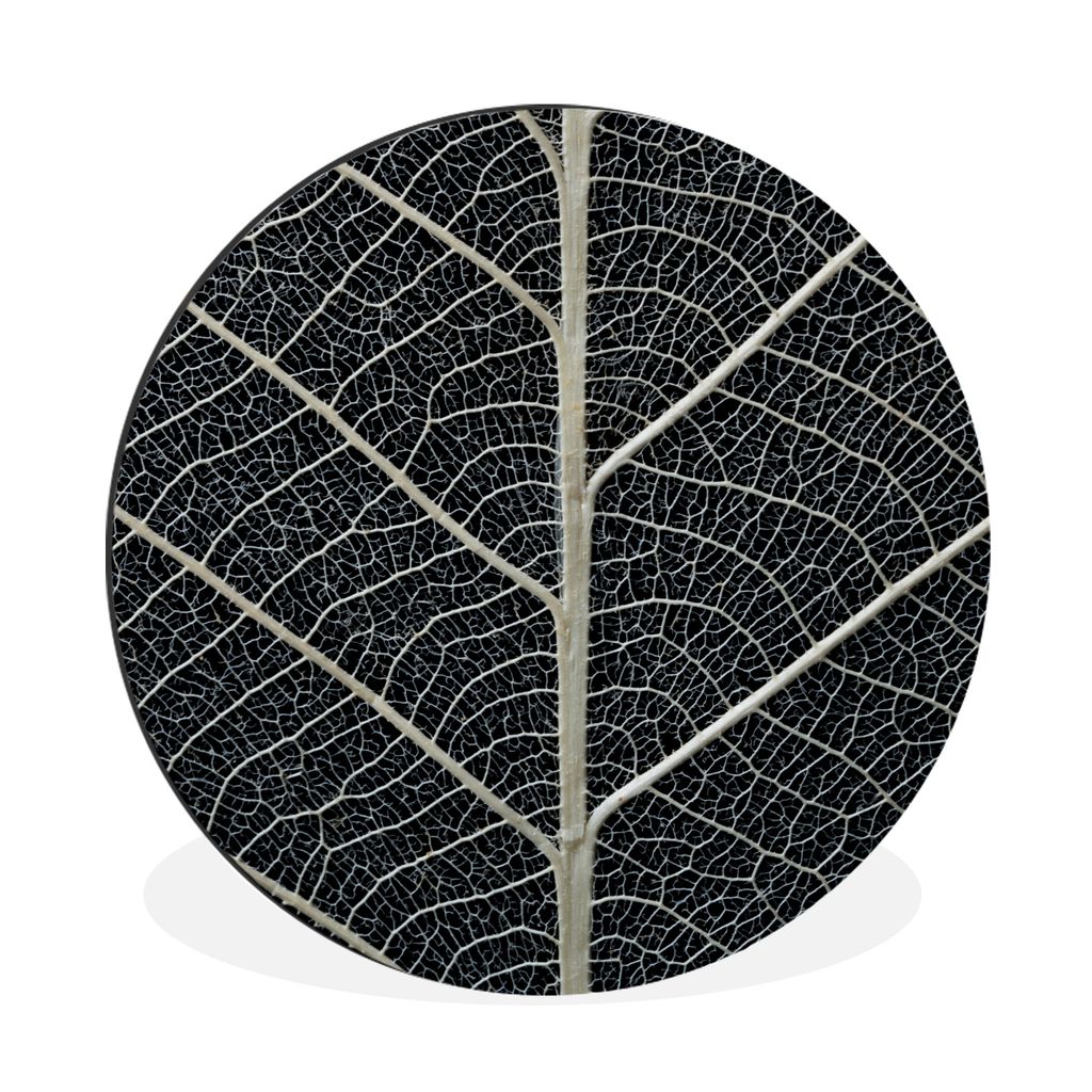 MuchoWow Aluminium Wandkreis Blattskelett mit Adern und Äderchen Ø 60 cm Wanddeko Modern Wohnzimmer - Wand Kreis - Wandbild - Schlafzimmer - Al...