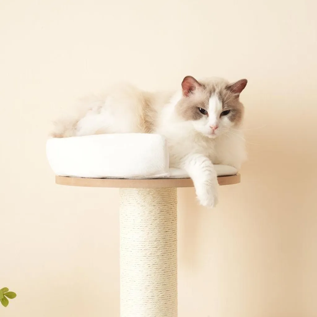 Tour à griffer pour chat avec cachette et plateformes imperméables - 4